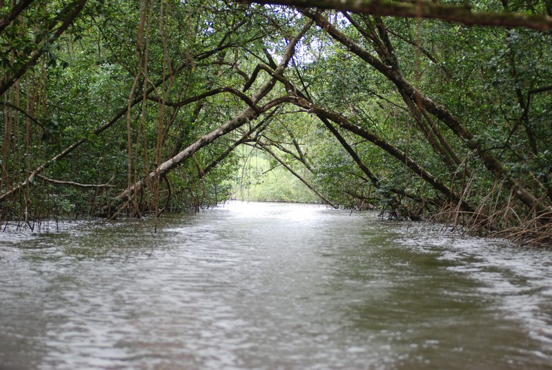 suriname-mei-2008-2-029.jpg