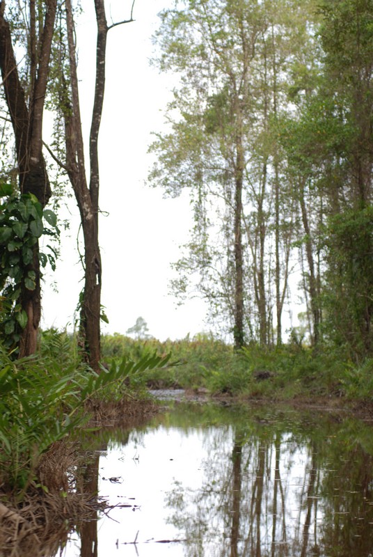 suriname-mei-2008-2-050.jpg