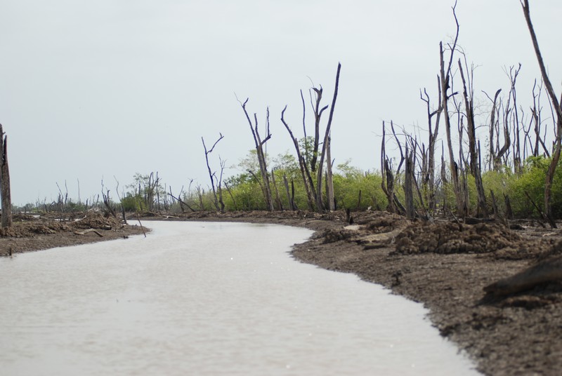 suriname-mei-2008-2-088.jpg