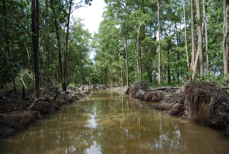 suriname-mei-2008-2-227.jpg