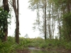 suriname-mei-2008-2-050.jpg