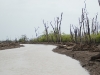 suriname-mei-2008-2-088.jpg