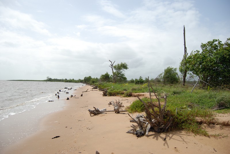 suriname-mei-2008-2-141.jpg