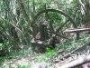 diversen-006.jpg